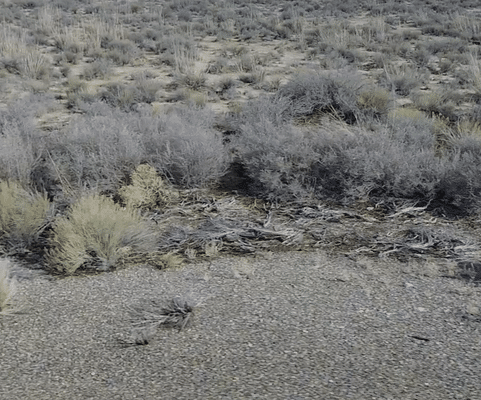Land in Elko Nevada For Sale
