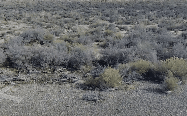 Land in Elko Nevada For Sale