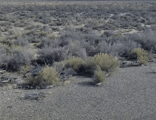 Land in Elko Nevada For Sale