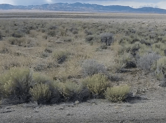 Land in Elko Nevada For Sale