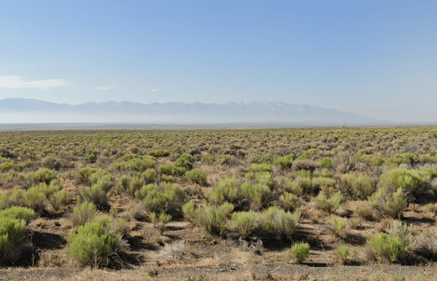 Land for sale in Elko, Nevada