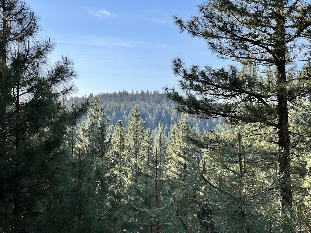 1.41 Acres land for sale in Alturas, CA