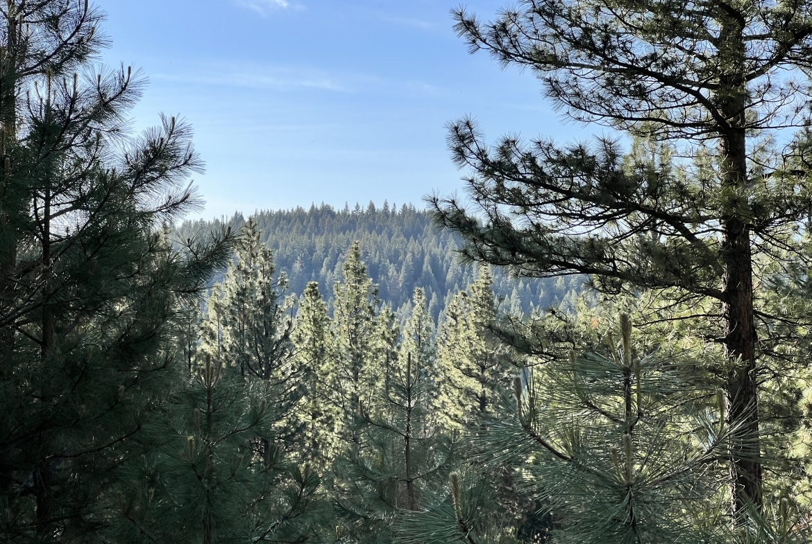 1.41 Acres land for sale in Alturas, CA
