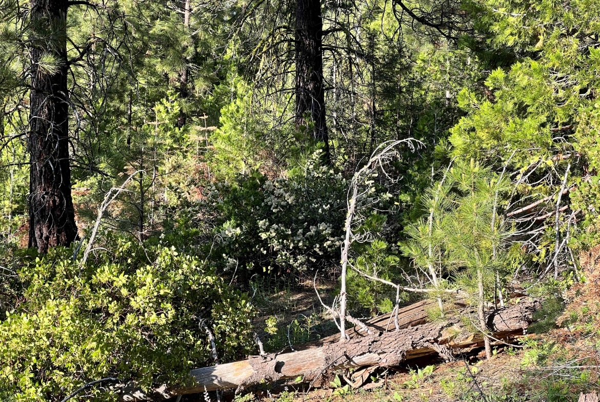 1.41 Acres land for sale in Alturas, CA