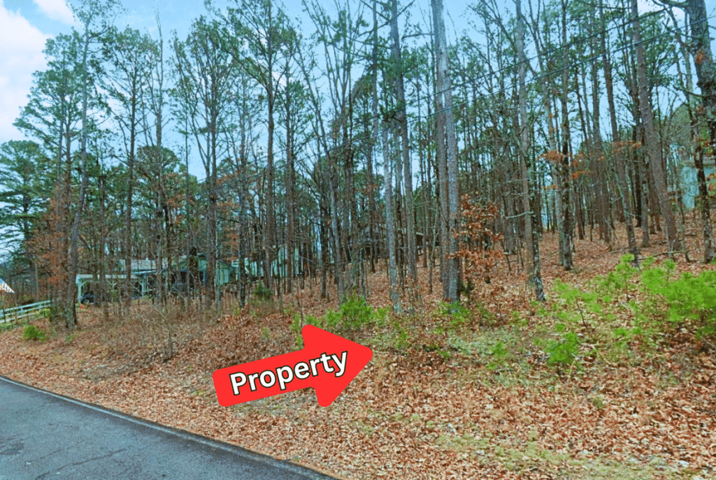 Lakefront lot in Fairfield Bay, Arkansas - 0.27 acres for $1,300 - photo 3