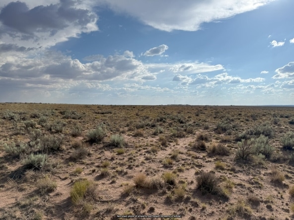Arizona Desert Land for Sale