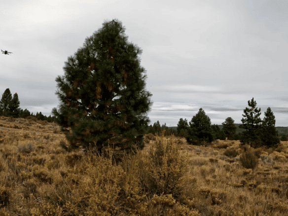 Prime 0.34-Acre Buildable Lot for Sale in Chiloquin, Oregon