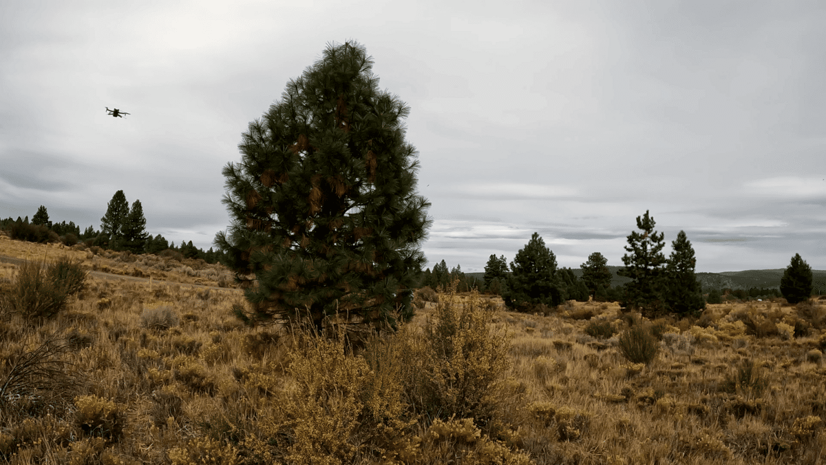 0.34-Acre Land Near Agency Lake in Chiloquin, Oregon for Sale