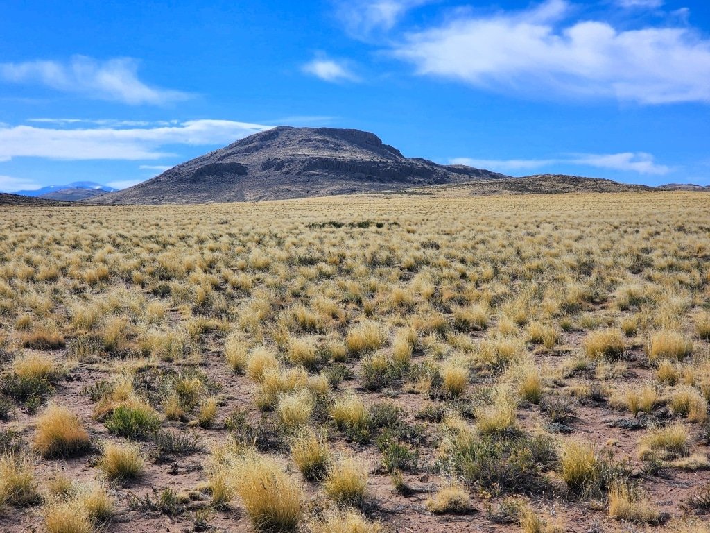 Colorado land for sale with road access near Blanca - photo 4