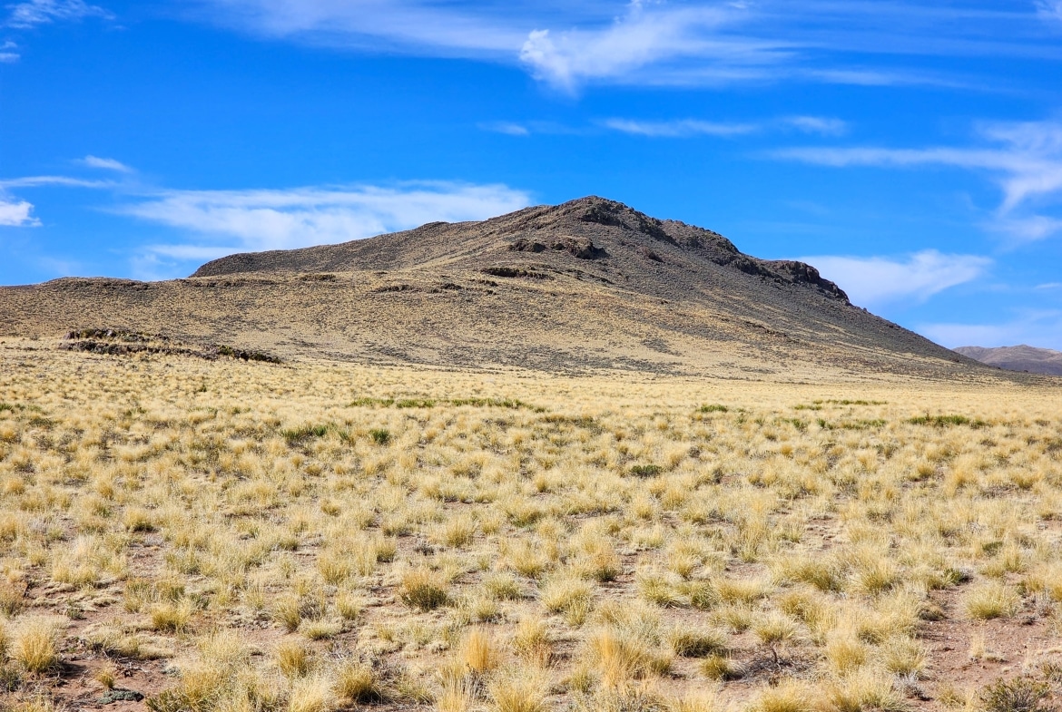 5 Acres Land in Blanca under $10,000 Price