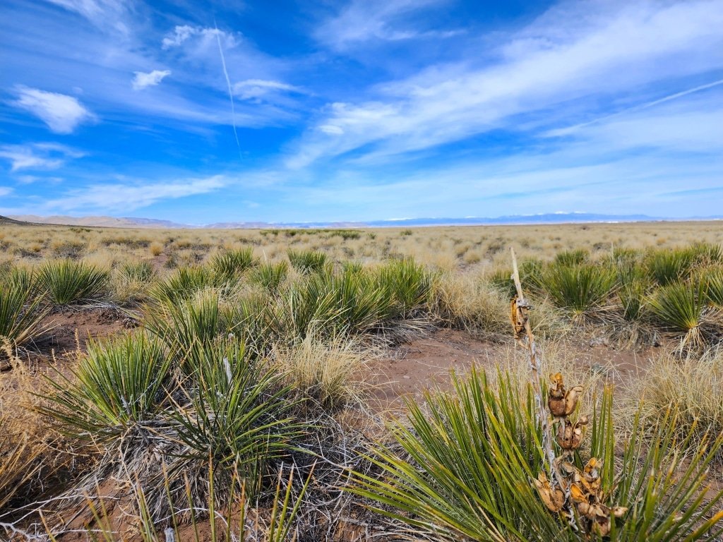 Owner-financed Colorado land near Blanca, $199 monthly payment - photo 2