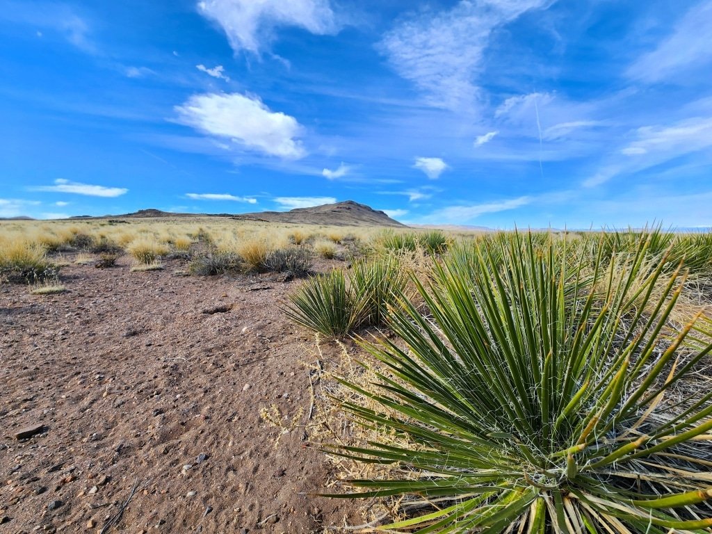 5 acre property allowing mobile homes and RV parking near Blanca - photo 3