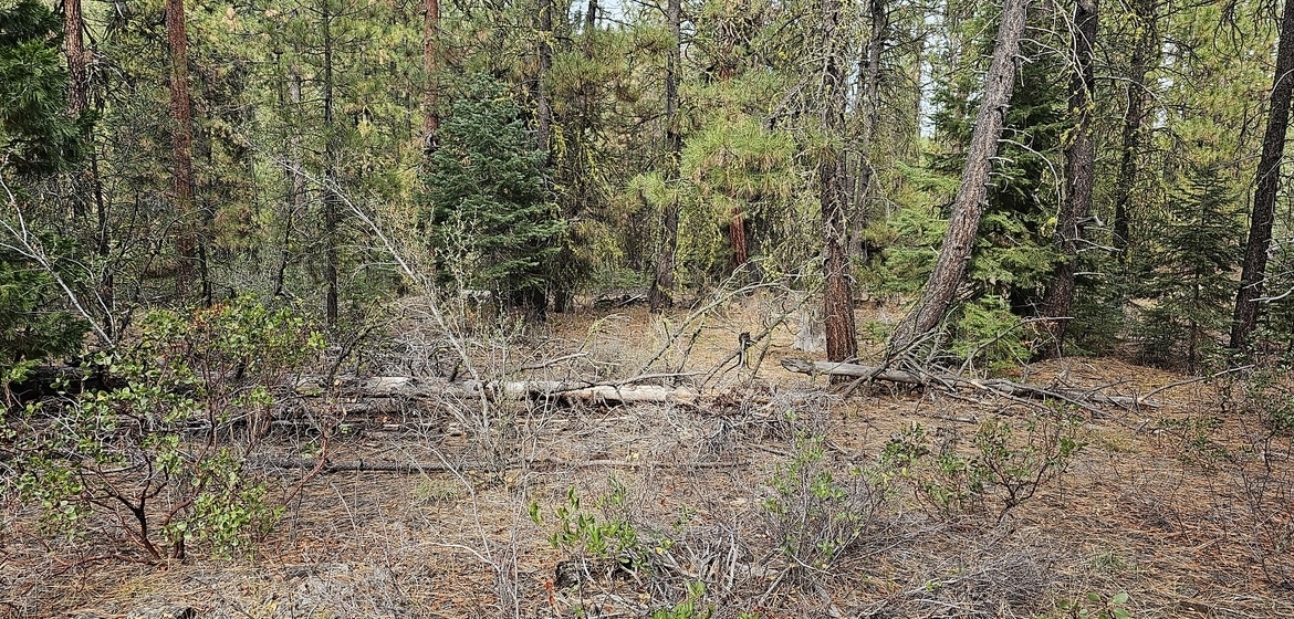 2.48 Acres Build Land for sale in Bonanza, Klamath County, Oregon