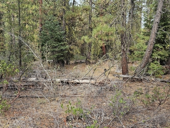 2.48 Acres Build Land for sale in Bonanza, Klamath County, Oregon