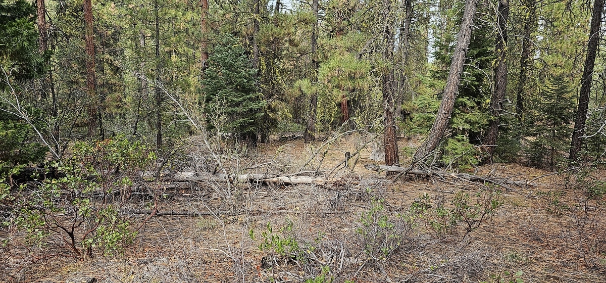 2.48 Acres Build Land for sale in Bonanza, Klamath County, Oregon