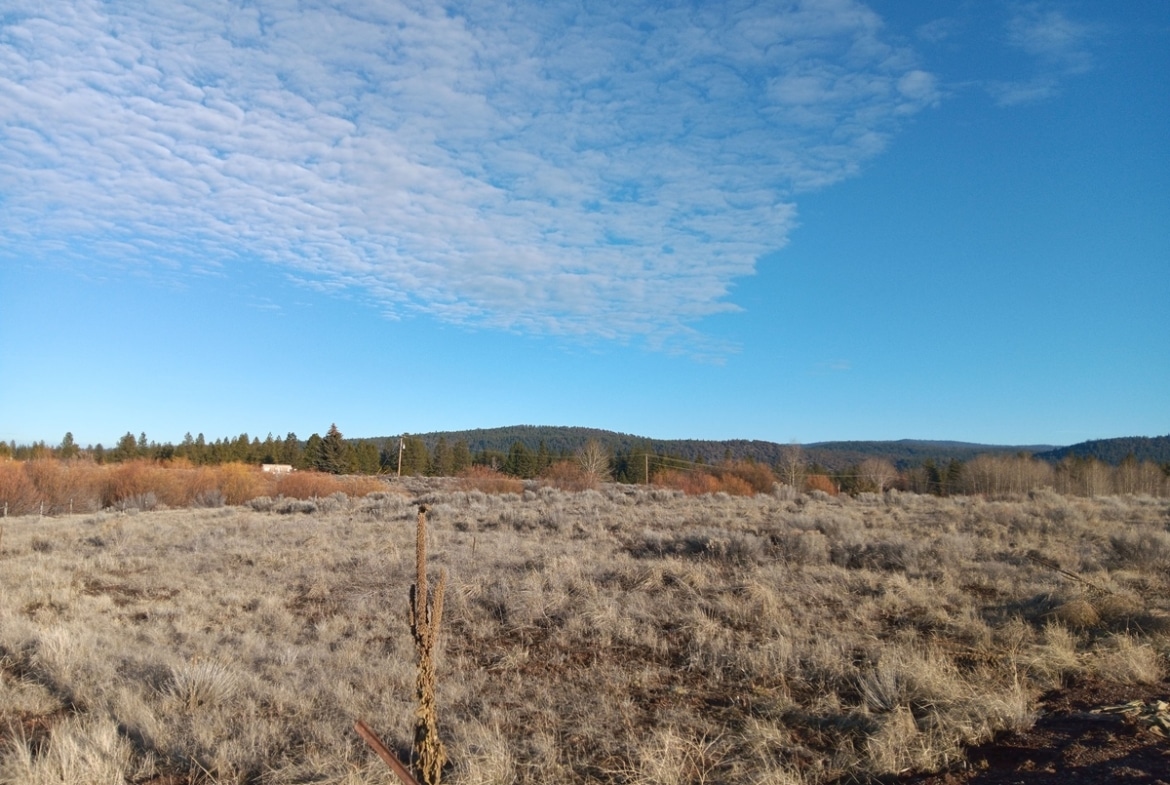 0.71 Acres of Opportunity Near Agency Lack in Chiloquin, Oregon