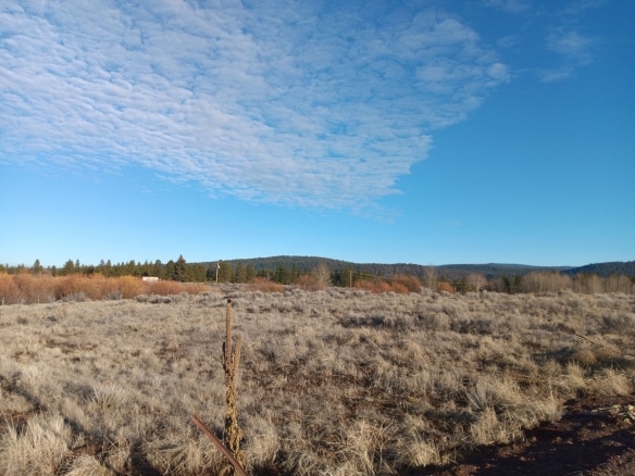 0.71 Acres of Opportunity Near Agency Lack in Chiloquin, Oregon