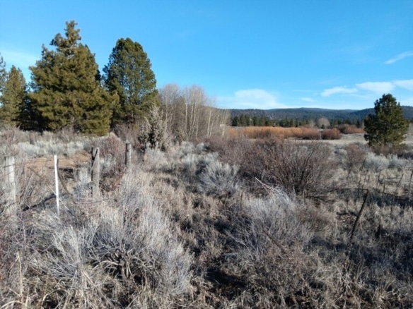 0.52-Acre Buildable Lot Near Agency Lake