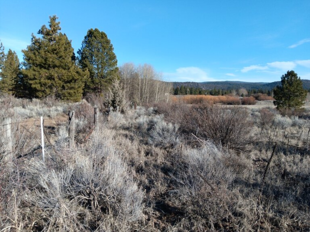 0.52-Acre Buildable Lot Near Agency Lake
