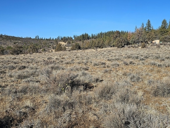 1.46 Acre off-grid opportunity in Southern Oregon for Sale