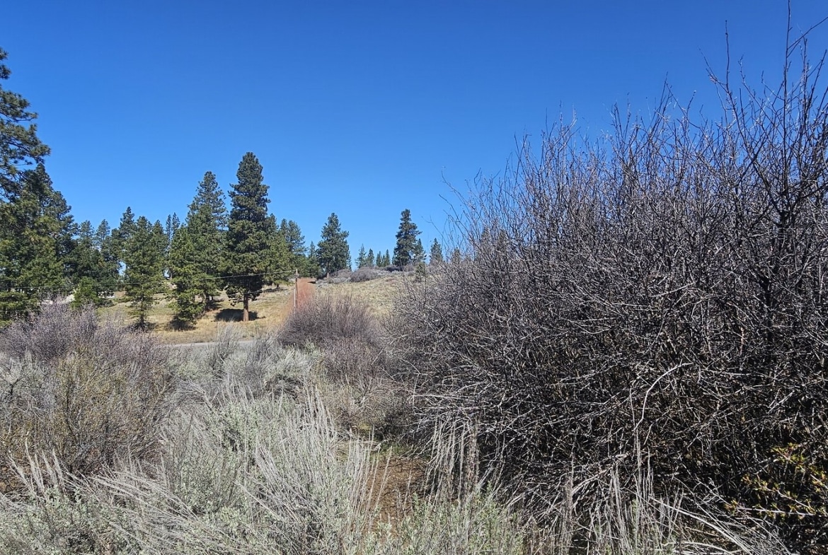 0.32 Opportunity Land Near Lakeside community for Sale