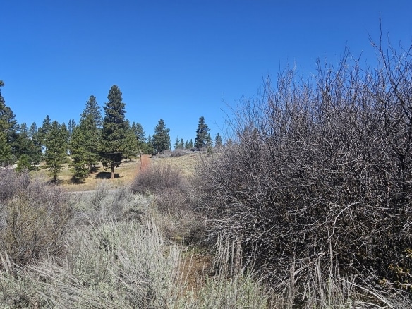 0.32 Acres Land Located Lakeside Community in Oregon for Sale