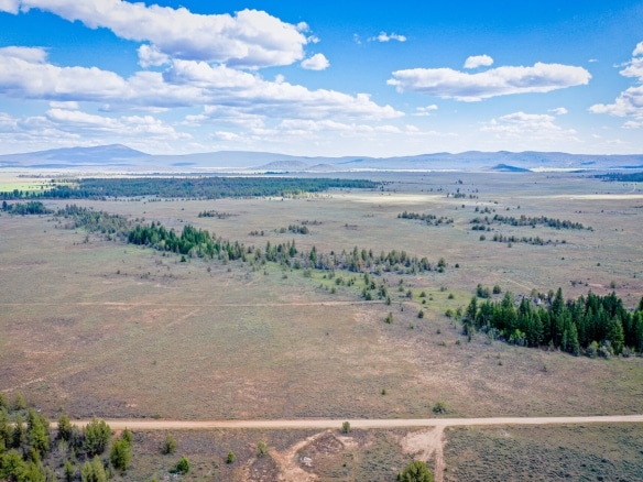 1.52 Acres of Raw, Untamed Oregon Wilderness for Sale