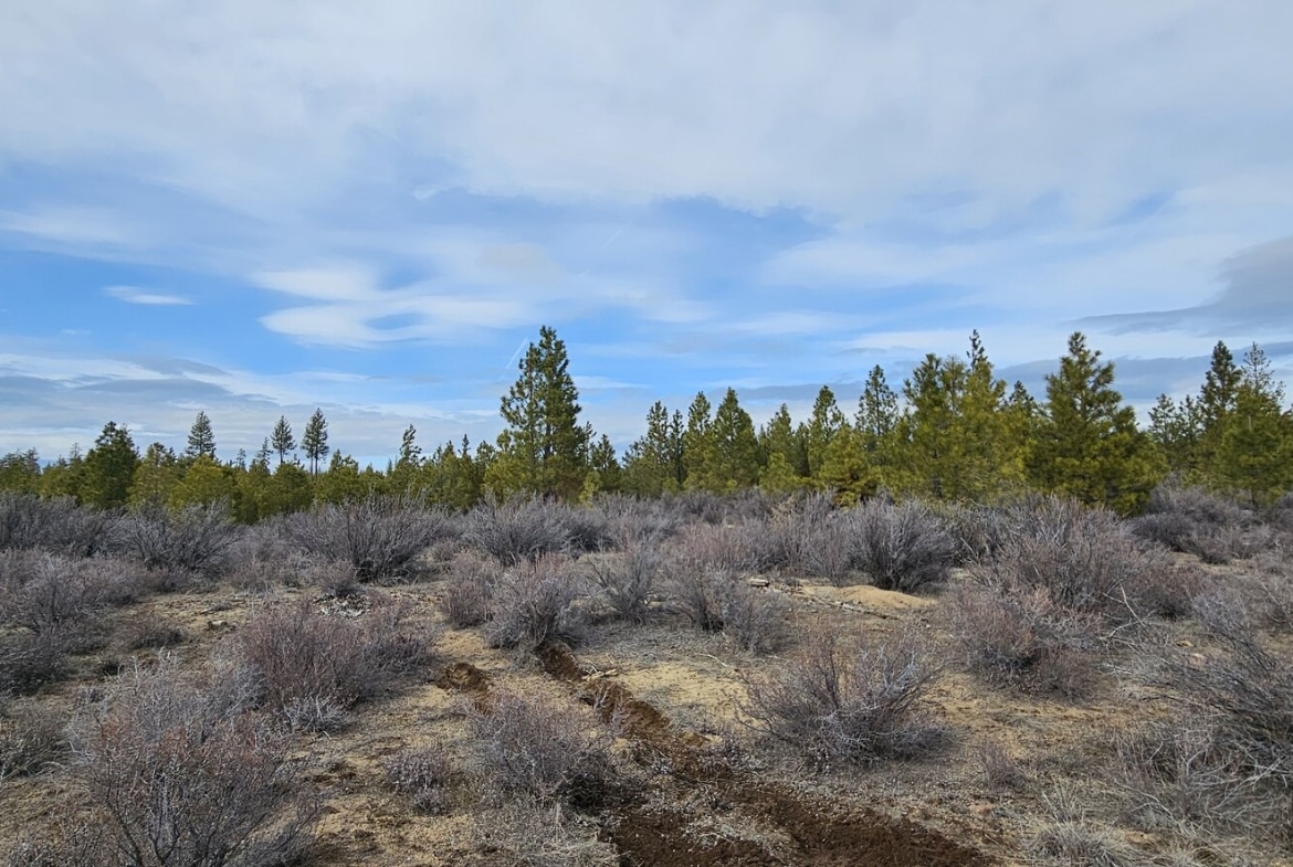 1.9 Acres Wilderness Lot Available for Sale