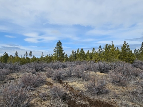 1.9 Acres Land for Sale in Chiloquin, Oregone