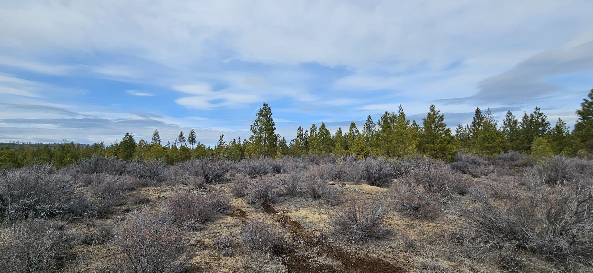 1.9 Acres Wilderness Lot Available for Sale