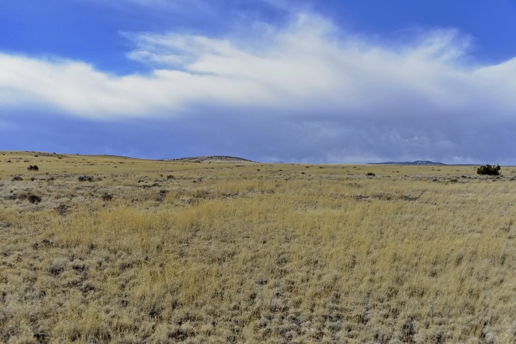 Owner-financed land listing in Apache County, Arizona - photo 4
