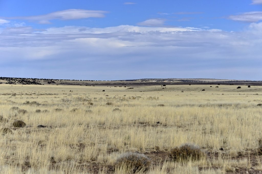 Apache County, Arizona lot available with owner financing - photo 2
