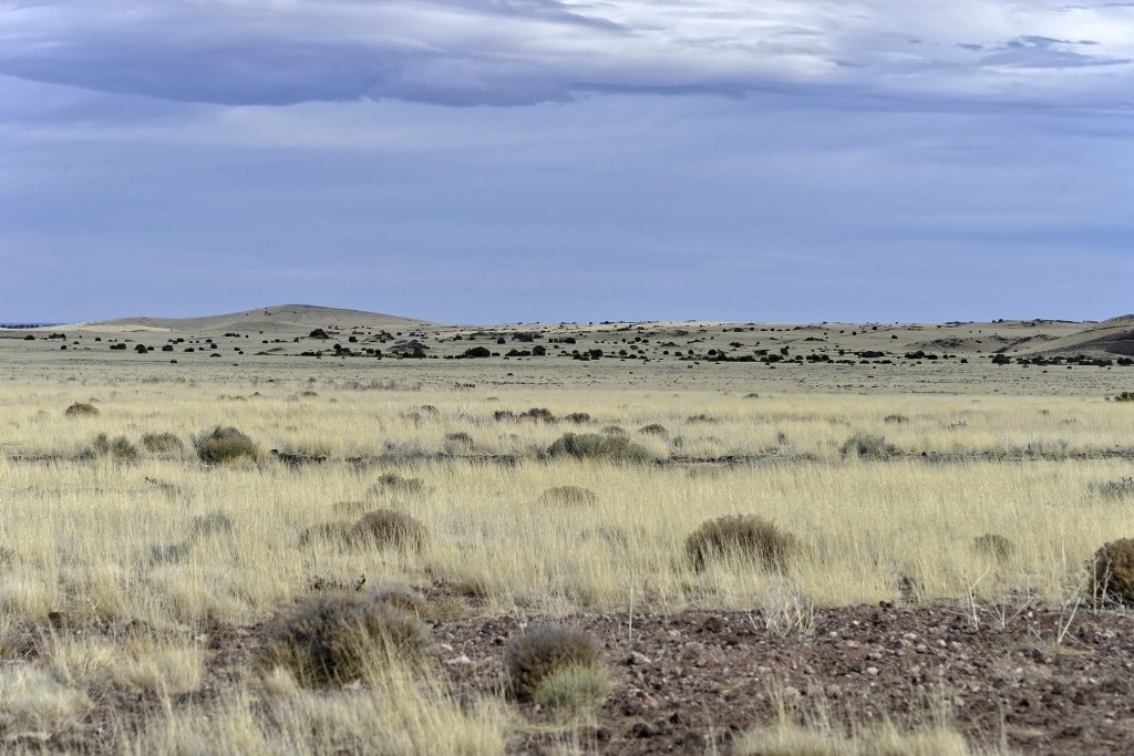 Affordable 1 acre property near Concho, AZ - photo 3