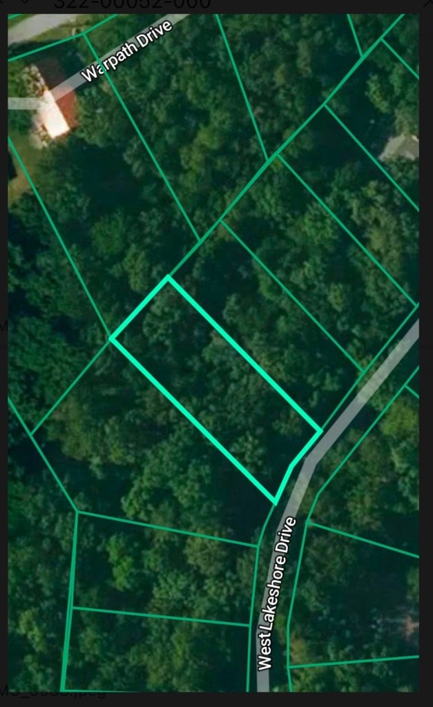 Road-accessible buildable lot in Cherokee Village area, Arkansas - photo 6