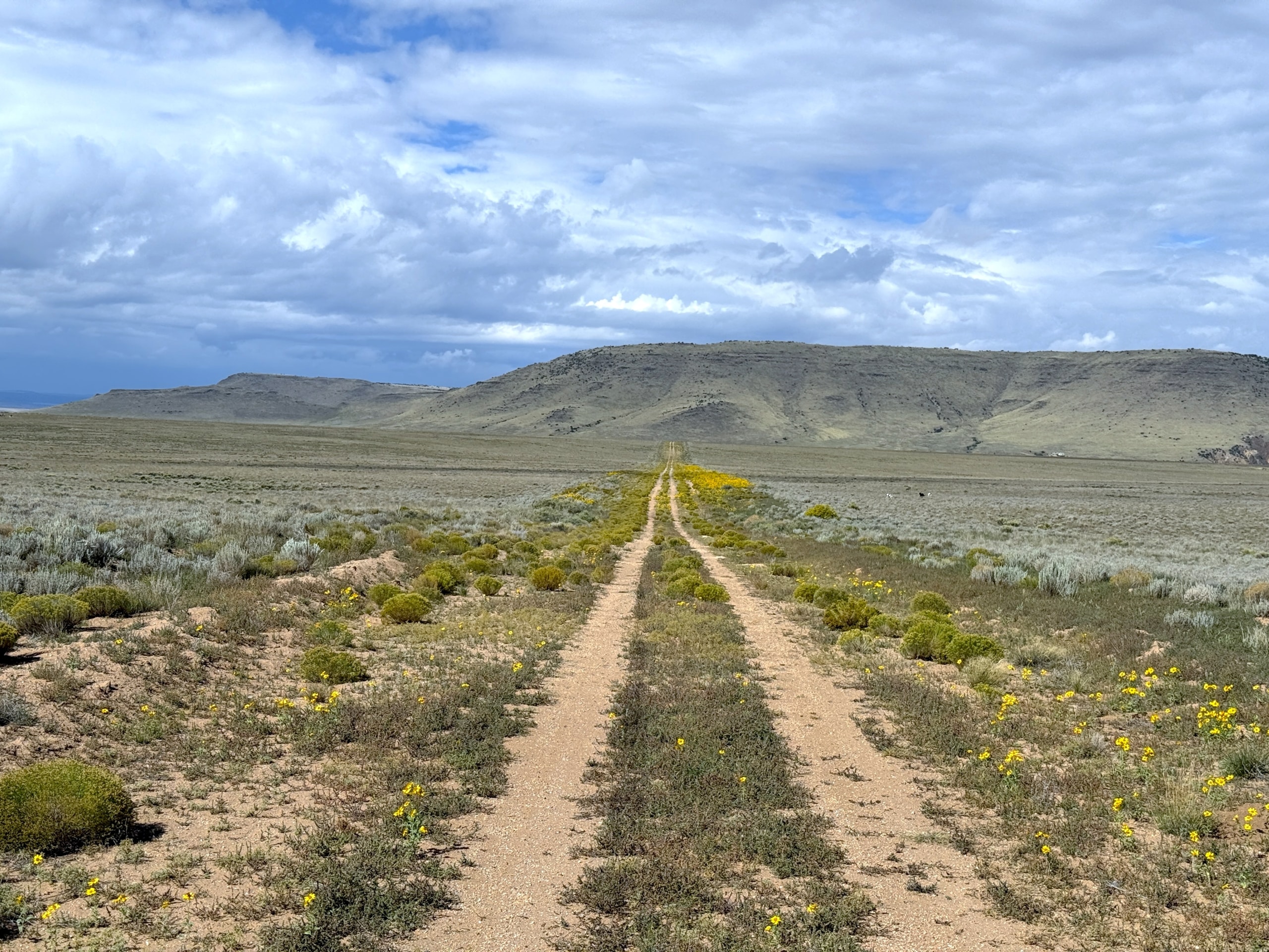 5 Acres Land Availalbe in San Luis Colorado