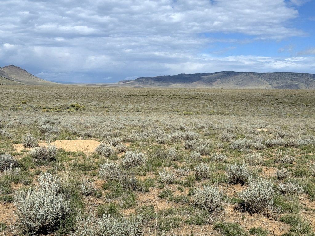 Owner-financed 5-acre land listing near San Luis, Colorado photo 4