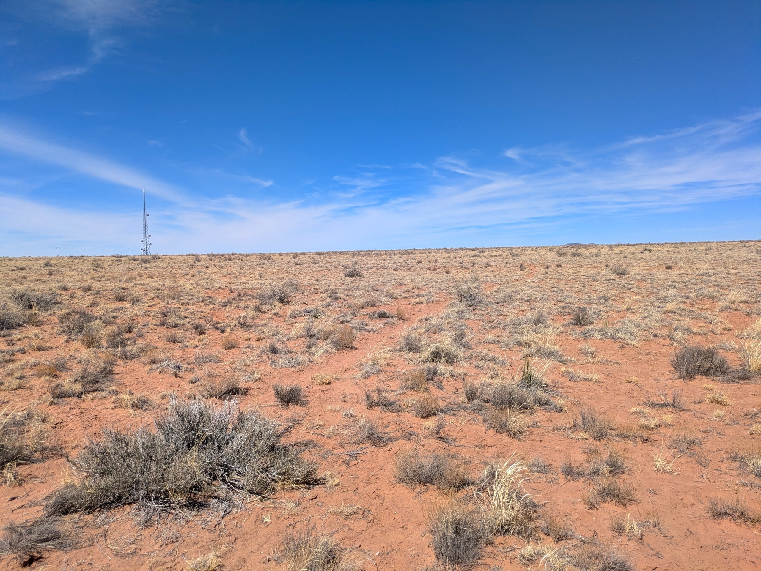 PXL_20250316_192721627