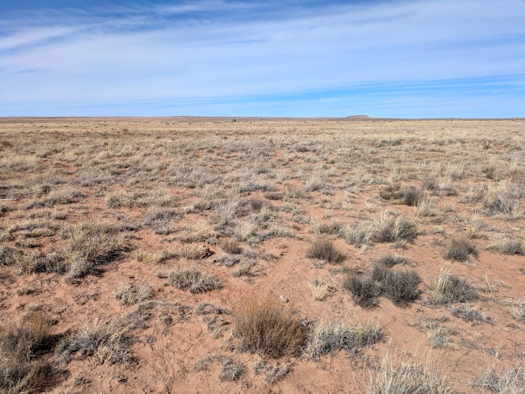 Affordable owner-financed lot in Sanders, AZ - 1.09 acres, $4,500 cash price