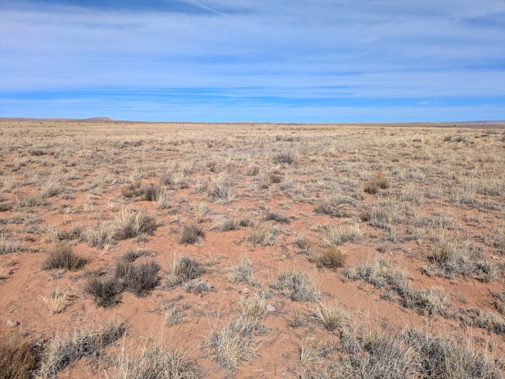 Buildable residential land listing in Apache County, Arizona near Sanders