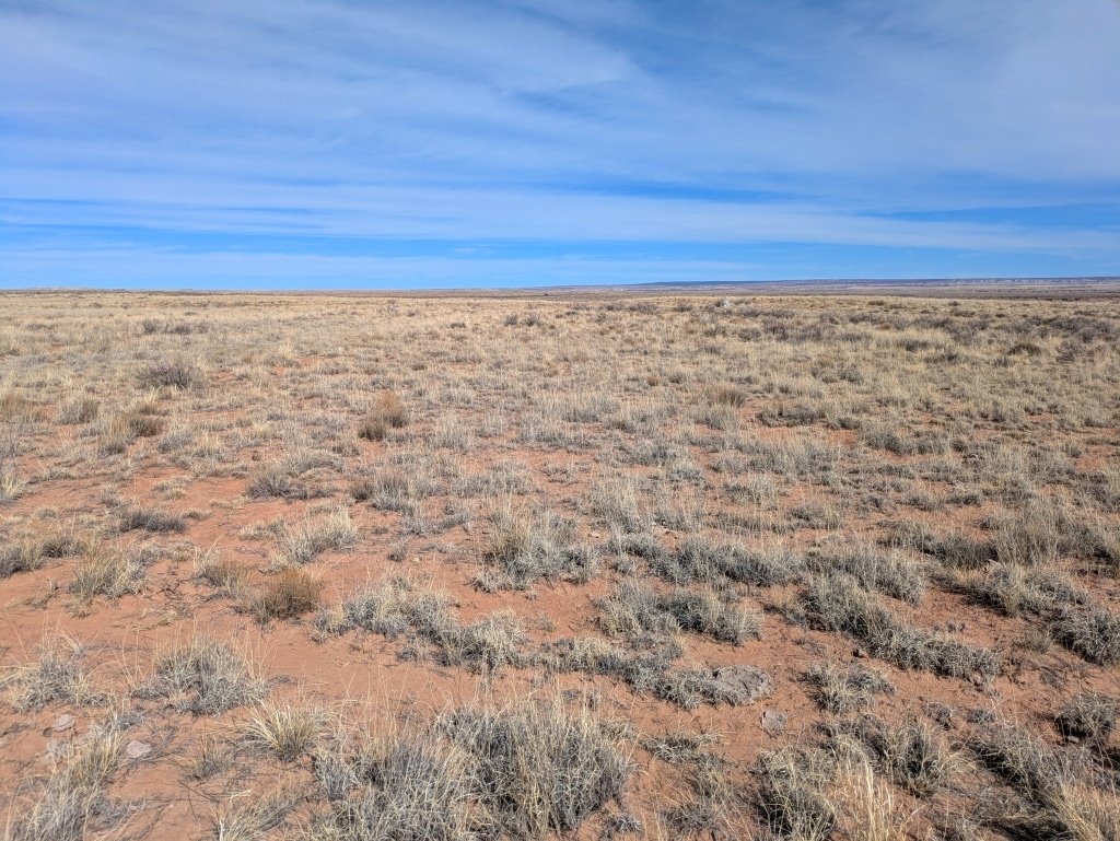 1.09 acre property available in Sanders, Arizona - owner-financed land sale