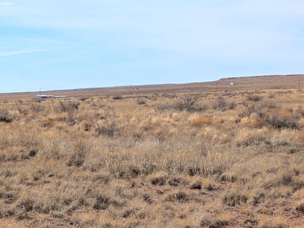 Owner-financed buildable lot in Sanders, Arizona - 1.09 acres listed