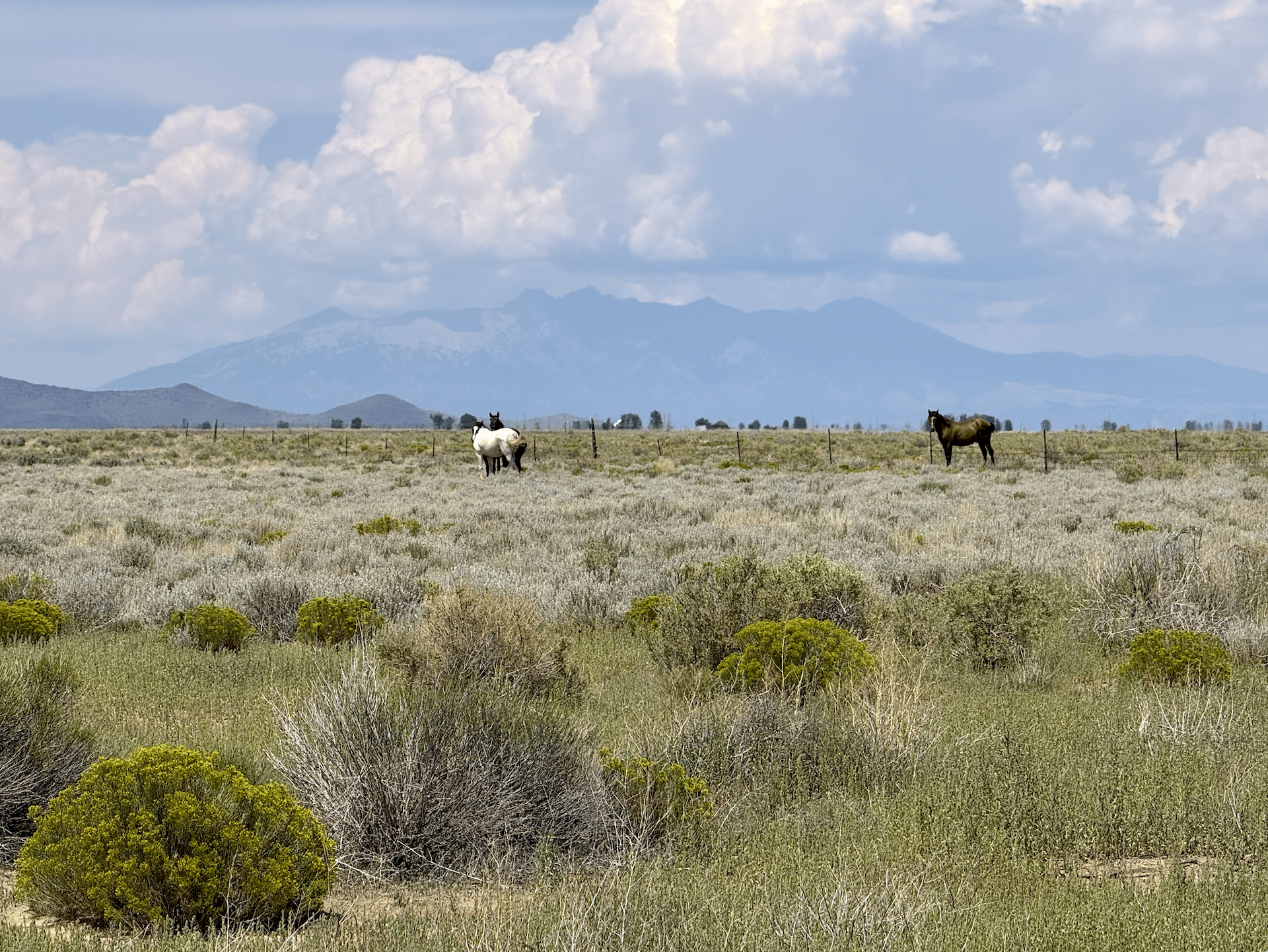 5.09 in San Luis Colorado