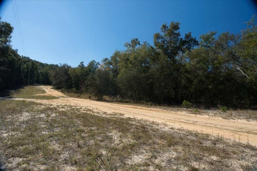 0.36 acre buildable land lot on 10th Street in Interlachen, Florida - photo 1