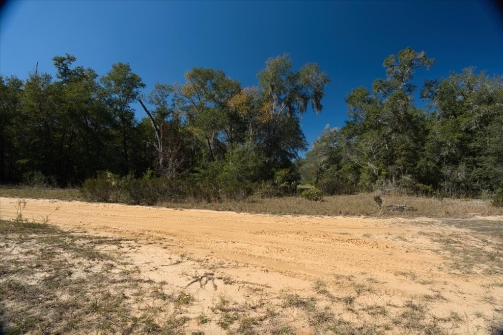 Mobile home friendly 0.36 acre property in Putnam County, Florida - photo 2