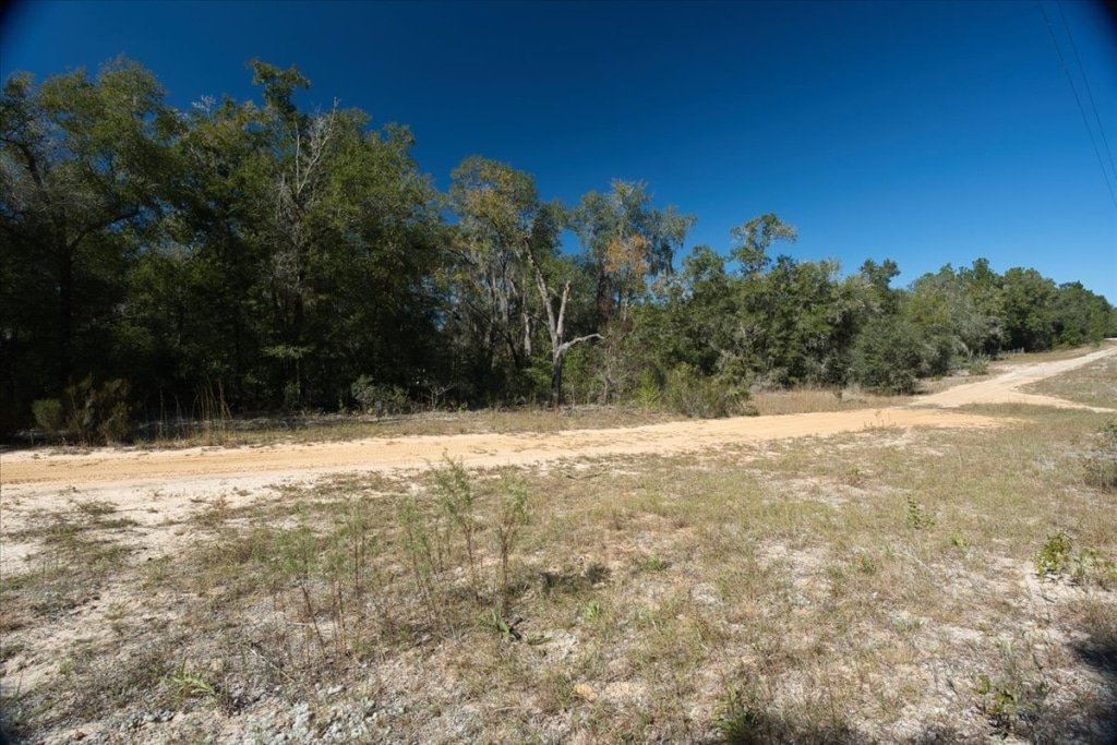 Owner-financed land listing on 10th Street, Interlachen, Florida - photo 5