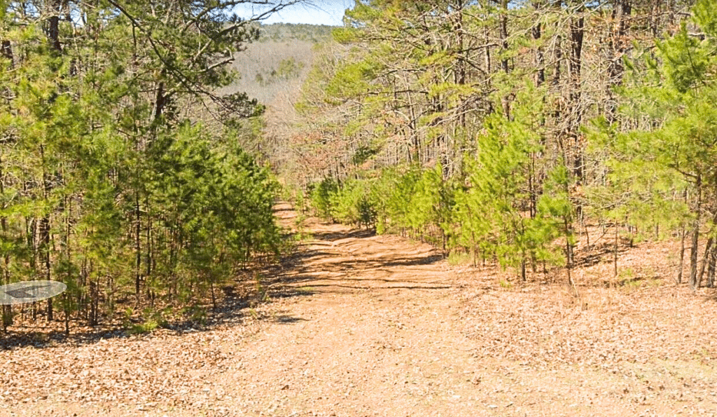 Affordable land listing in Fairfield Bay, AR - 0.24 acres - photo 2