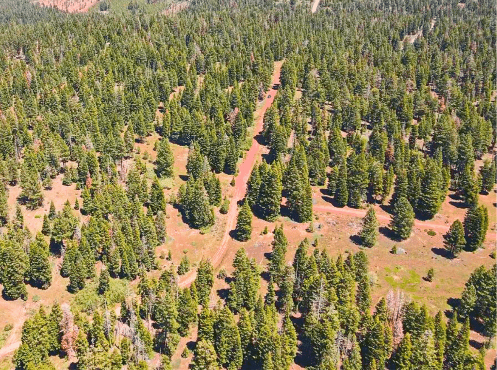Affordable owner-financed lot in Likely, CA - 0.92 acres - photo 2