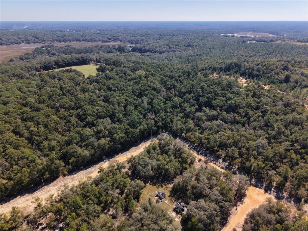 10th Street land listing in Interlachen, Florida available for $10,000 - photo 3