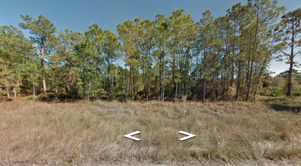 0.5 acre buildable land lot for sale in Lehigh Acres, Florida - photo 1