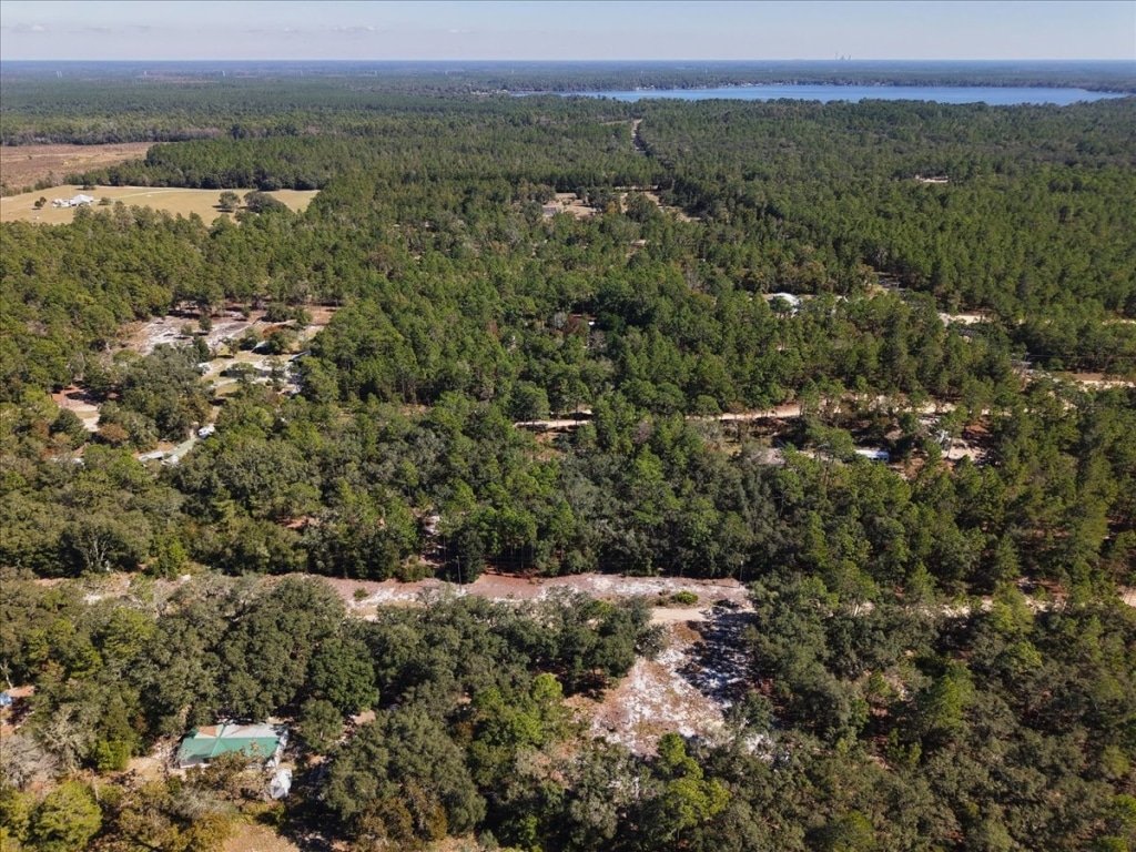 Owner-financed corner lot in Florahome, Palm Beach County, Florida